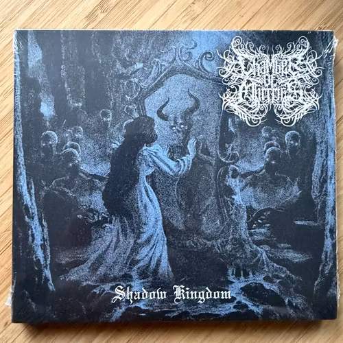 CHAMBER OF MIRRORS Shadows Kingdom (Drakkar - France reissue) (SS) CD