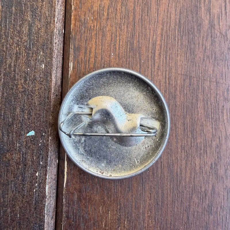 BLACK FLAG Logo (NM) PIN