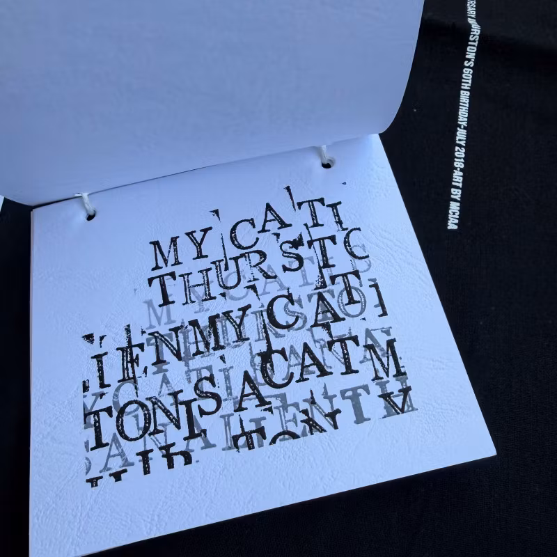 MY CAT IS AN ALIEN, THURSTON MOORE PoesiaSonorAlienica (Opax - Europe original) (NM/EX) FLEXI 7", T-SHIRT, BAG