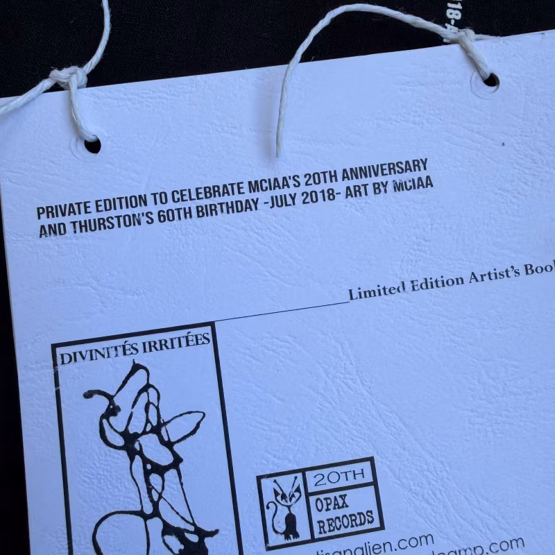 MY CAT IS AN ALIEN, THURSTON MOORE PoesiaSonorAlienica (Opax - Europe original) (NM/EX) FLEXI 7", T-SHIRT, BAG