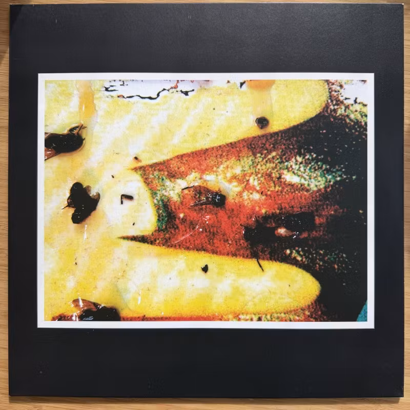 BIZARRE UPROAR Rape Africa (Freak Animal, Filth And Violence - Finland original) (EX/NM) LP