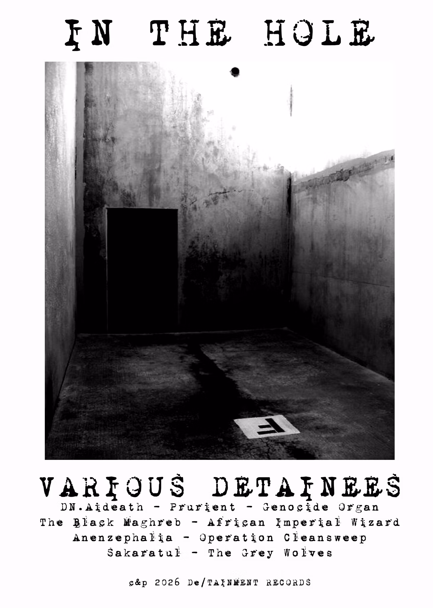 *PRE-ORDER* VARIOUS Detainees - In the Hole LP