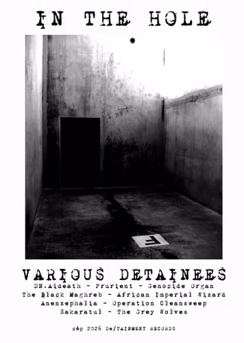 *PRE-ORDER* VARIOUS Detainees - In the Hole LP