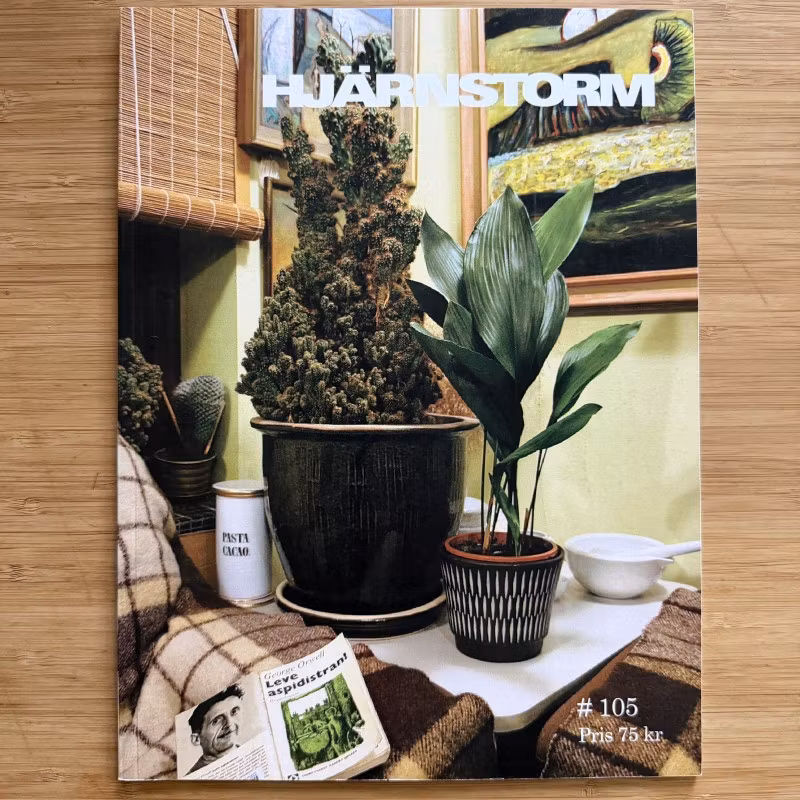 HJÄRNSTORM #105 2010 (EX) MAGAZINE