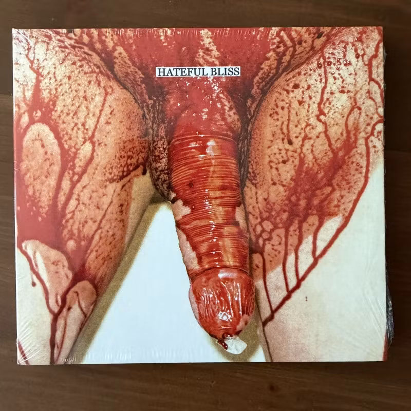 VARIOUS Hateful Bliss (Filth And Violence - Finland original) (SS) CD