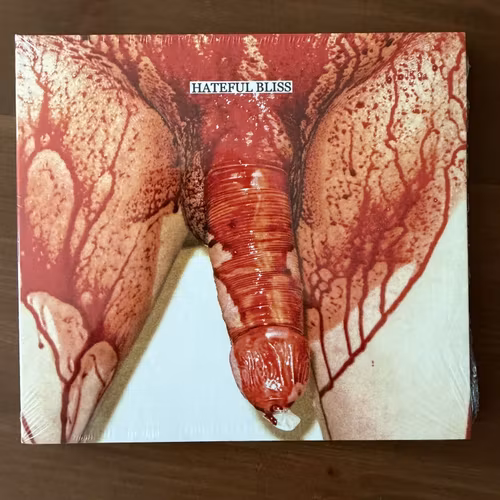VARIOUS Hateful Bliss (Filth And Violence - Finland original) (SS) CD