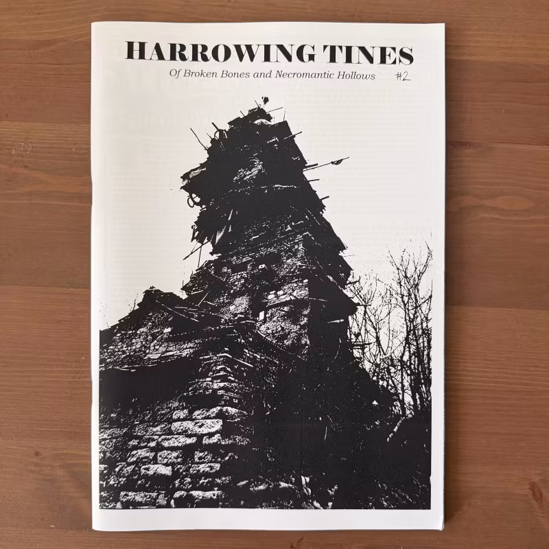 HARROWING TINES #2 2026 (NM) FANZINE