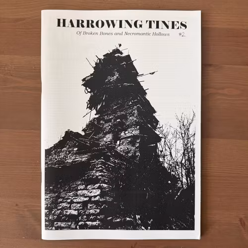 HARROWING TINES #2 2026 (NM) FANZINE