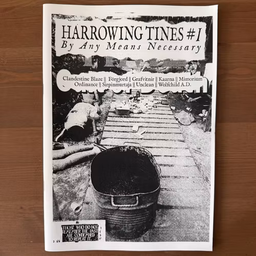 HARROWING TINES #1 (NM) FANZINE