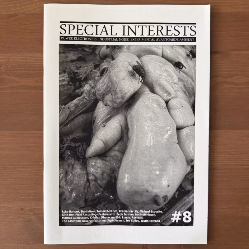 SPECIAL INTERESTS #8 (Finland reissue) (NM) MAGAZINE