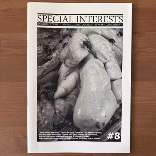 SPECIAL INTERESTS #8 (Finland reissue) (NM) MAGAZINE