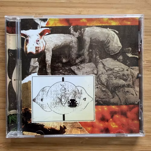 SSRI Swollen By Noise (Filth And Violence - Finland original) (NM) CD