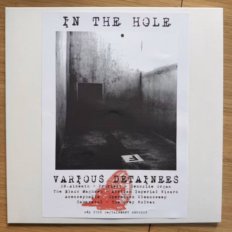 VARIOUS Detainees – In The Hole (De/TAINMENT - Germany original) (NM) LP
