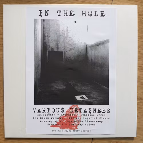 VARIOUS Detainees – In The Hole (De/TAINMENT - Germany original) (NM) LP