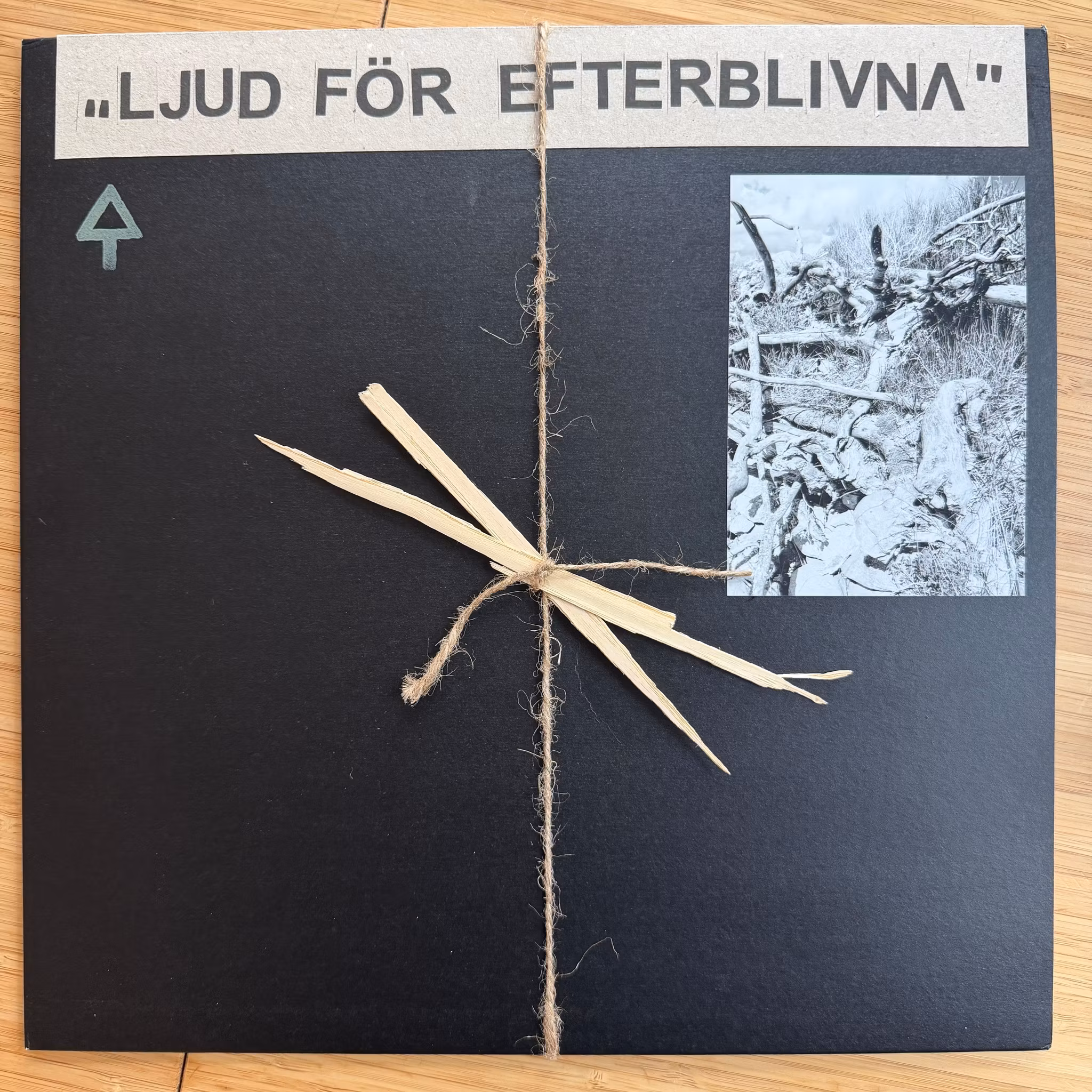 OCHU Ljud För Efterblivna (Verlautbarung - Germany original) (NM) LP