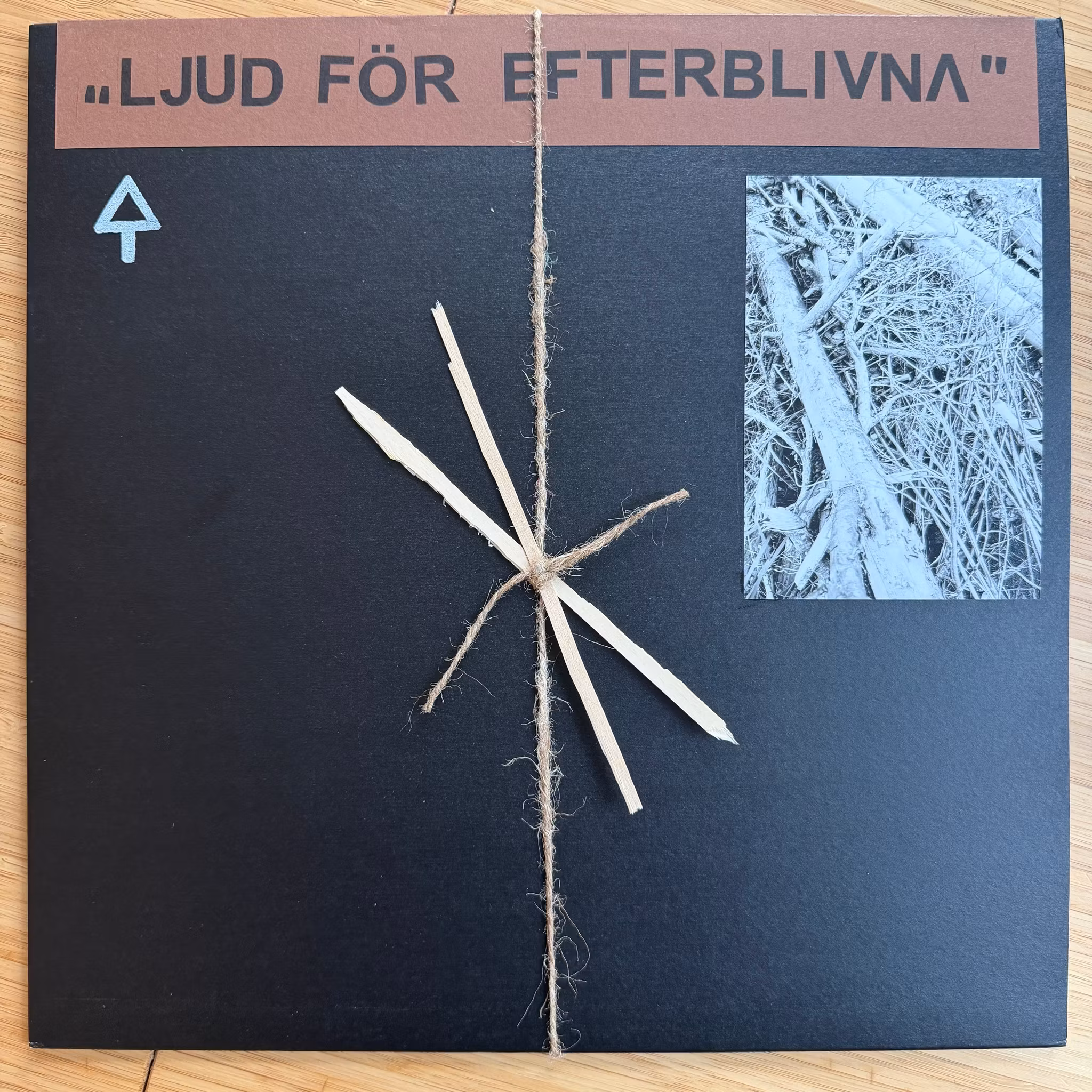 OCHU Ljud För Efterblivna (Verlautbarung - Germany original) (NM) LP