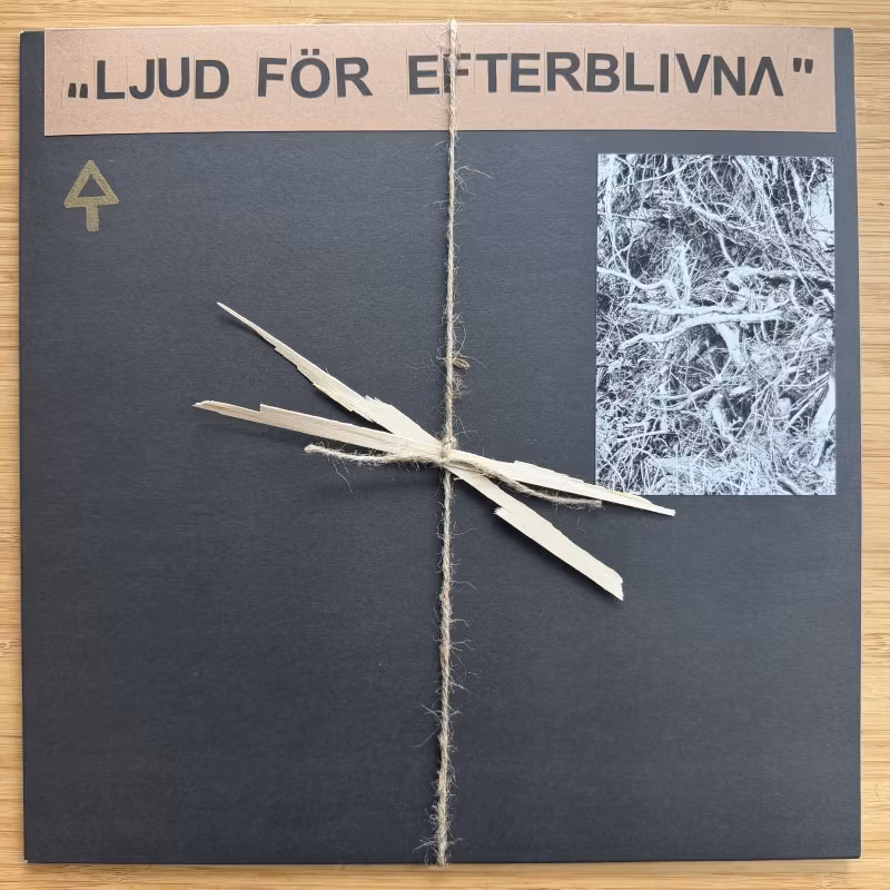 OCHU Ljud För Efterblivna (Verlautbarung - Germany original) (NM) LP