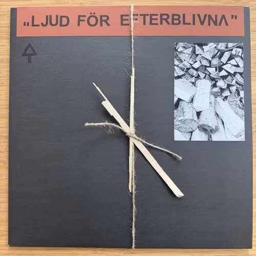 OCHU Ljud För Efterblivna (Verlautbarung - Germany original) (NM) LP