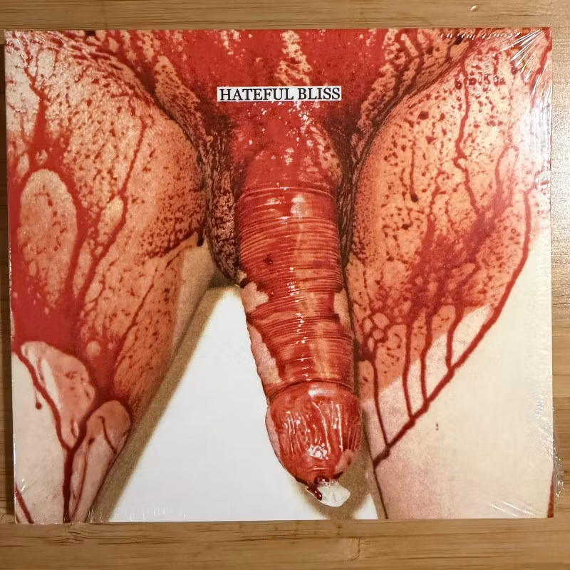 VARIOUS Hateful Bliss (Filth And Violence - Finland original) (SS) CD