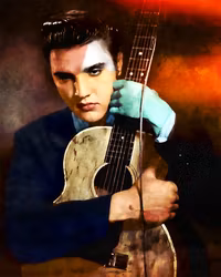 ELVIS #4