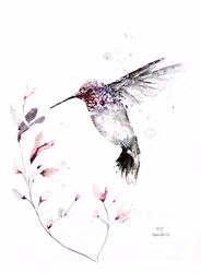 Hummingbird