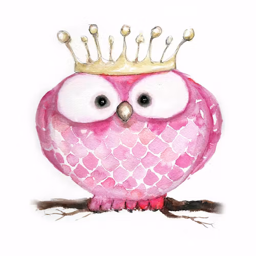 Princess owl