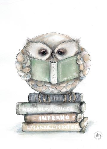 Reading owl