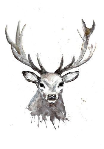 Oh deer