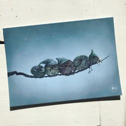 Sleeping owl