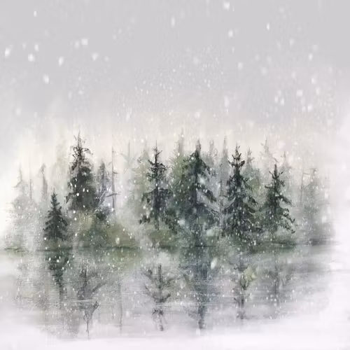 Winterwoods