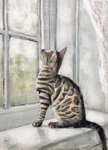 Lille katt