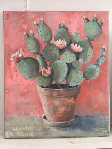 Kaktus Opuntia