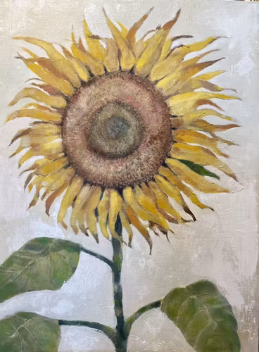 Solrosen
