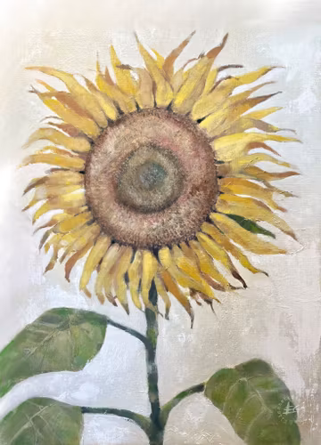 Solrosen