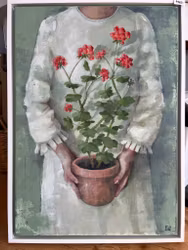 Pelargoner