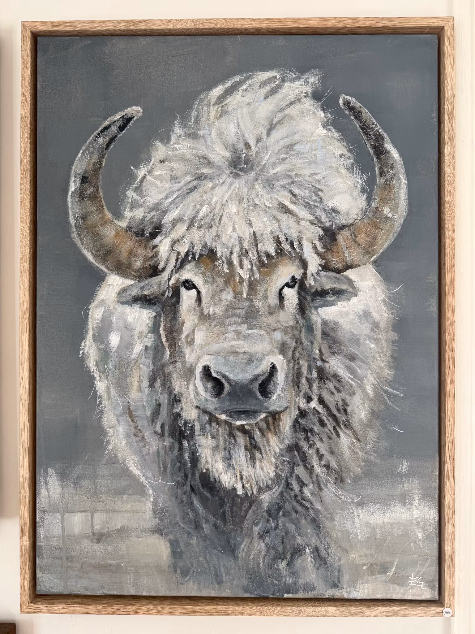 Bison