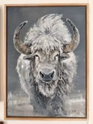 Bison