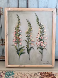 Fingerborgsblommor