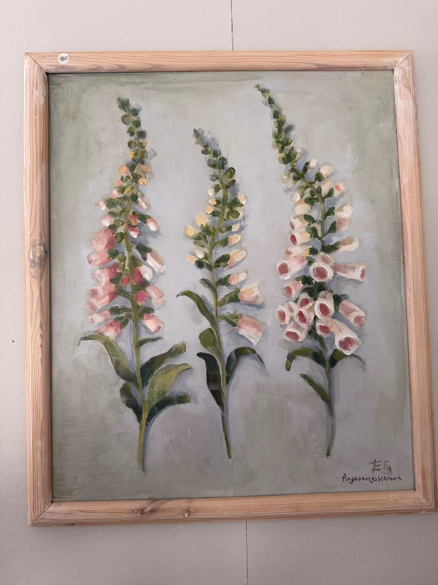 Fingerborgsblommor