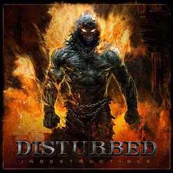 Disturbed ‎– Indestructible Lp