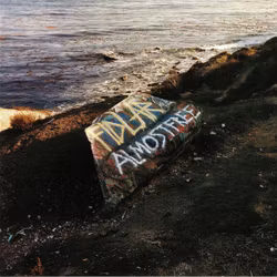 Fidlar ‎– Almost Free Lp