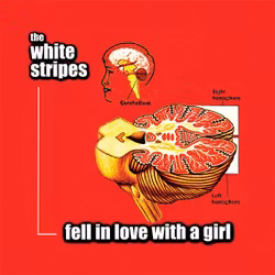 White Stripes, The ‎– Fell In Love With A Girl 7''