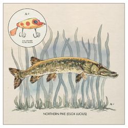 Nick Lowe  ‎– Nothern pike | 12''