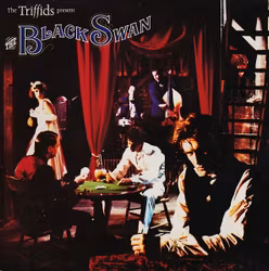 The Triffids – The Triffids Present The Black Swan | Lp
