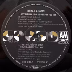 Bryan Adams – (Everything I Do) I Do It For You | 12'' VINYL