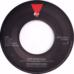 The Spongetones – Now You're Gone / Torn Apart. 7''