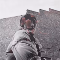 Aldous Harding - Warm Chris (LP)