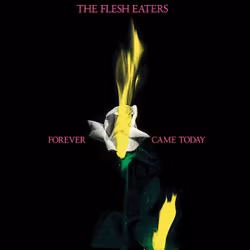 The Flesh Eaters – Forever Came Today. Lp