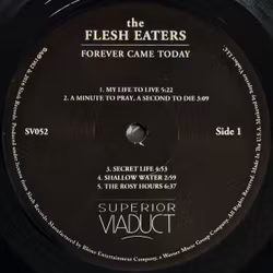 The Flesh Eaters – Forever Came Today. Lp