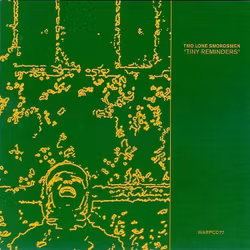 Two Lone Swordsmen – Tiny Reminders. Cd